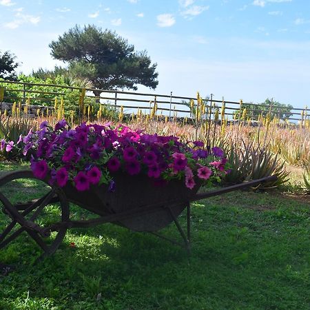 Pensjonat Il Giardino Delle Aloe Favignana Zewnętrze zdjęcie