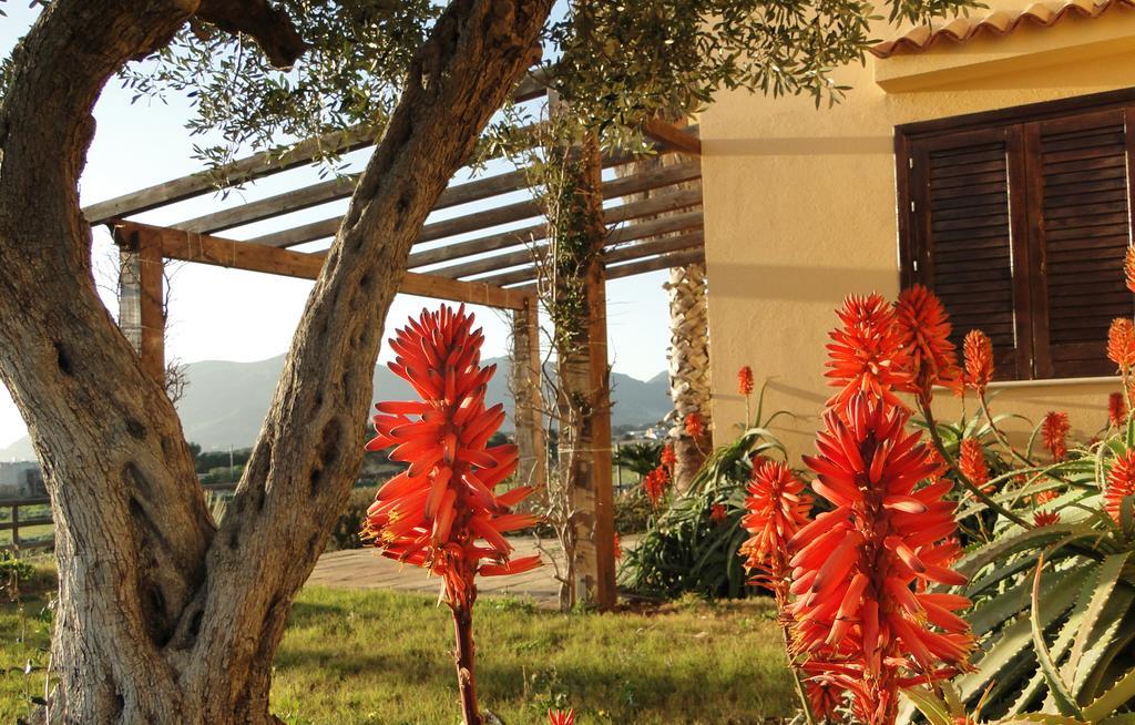 Pensjonat Il Giardino Delle Aloe Favignana Zewnętrze zdjęcie