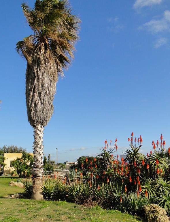 Pensjonat Il Giardino Delle Aloe Favignana Zewnętrze zdjęcie