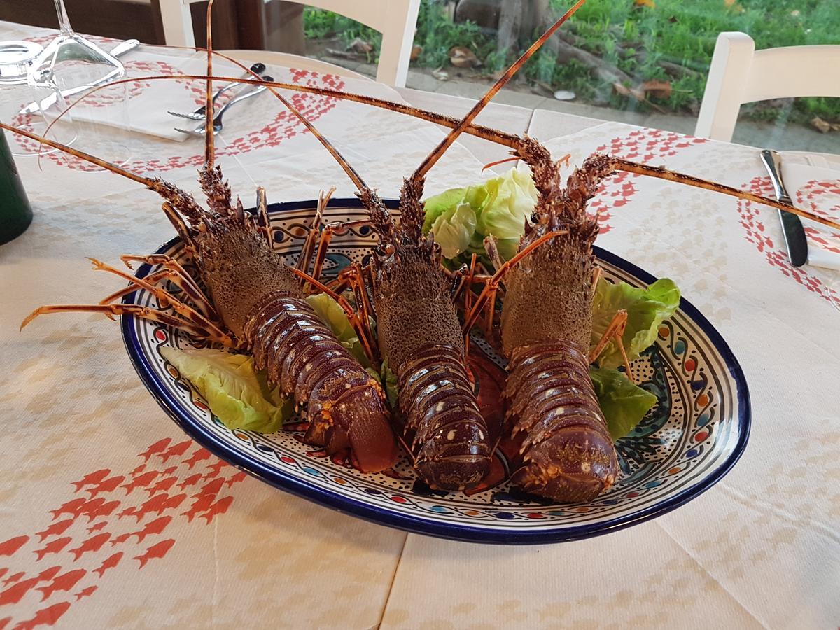 Pensjonat Il Giardino Delle Aloe Favignana Zewnętrze zdjęcie