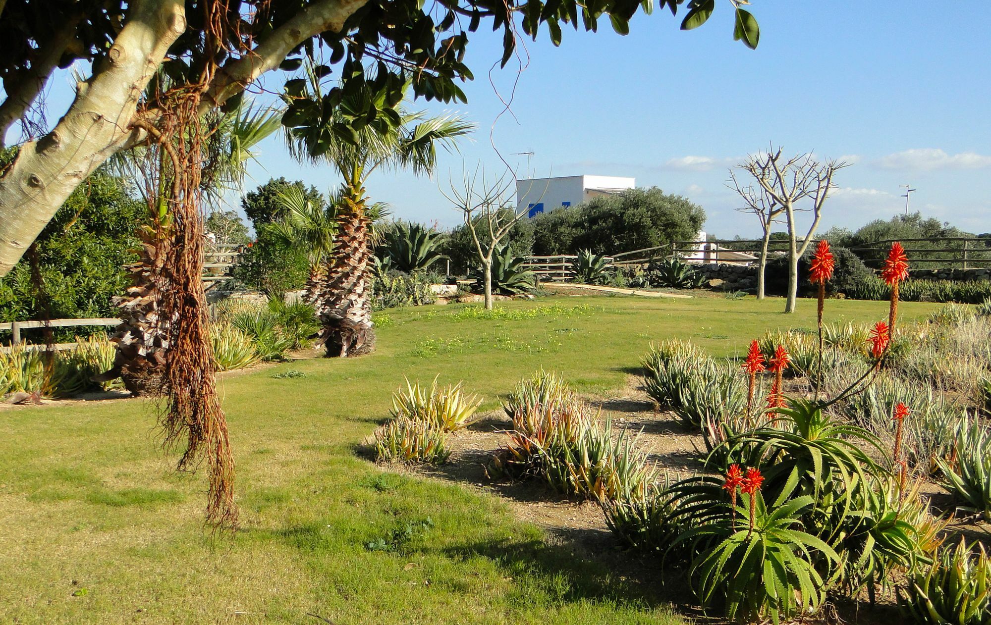 Pensjonat Il Giardino Delle Aloe Favignana Zewnętrze zdjęcie
