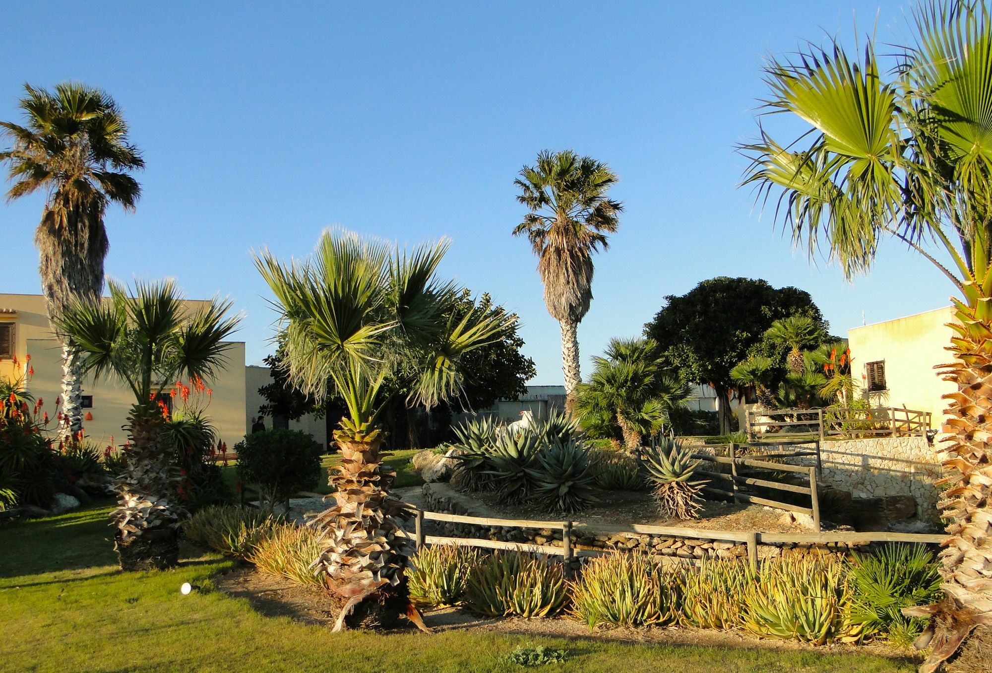Pensjonat Il Giardino Delle Aloe Favignana Zewnętrze zdjęcie