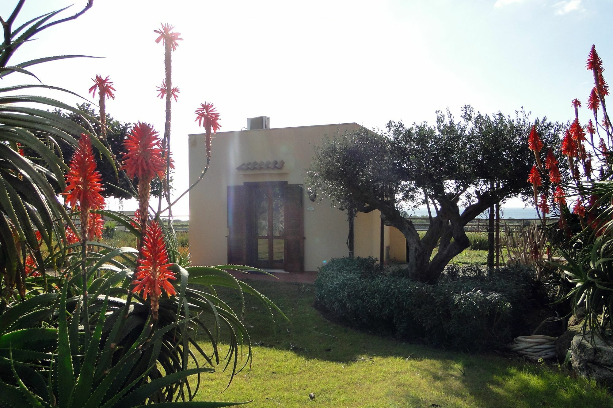 Pensjonat Il Giardino Delle Aloe Favignana Zewnętrze zdjęcie